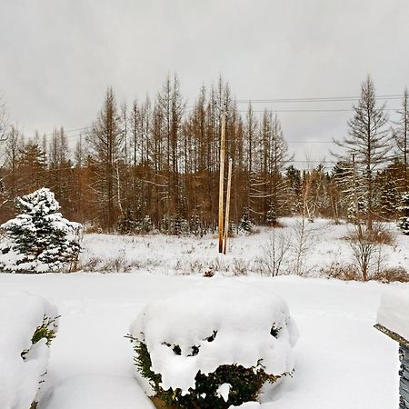 Carroll Twin View Log Home מראה חיצוני תמונה